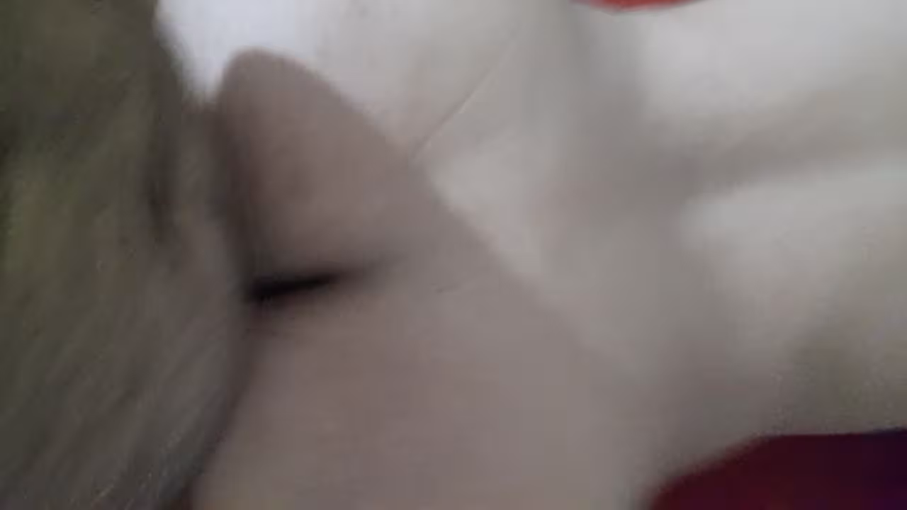 Video de Francisco