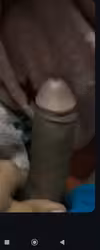 bigmarooncock17cm